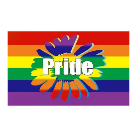 Rainbow Pride flag 90 x 150cm - Support LGBT