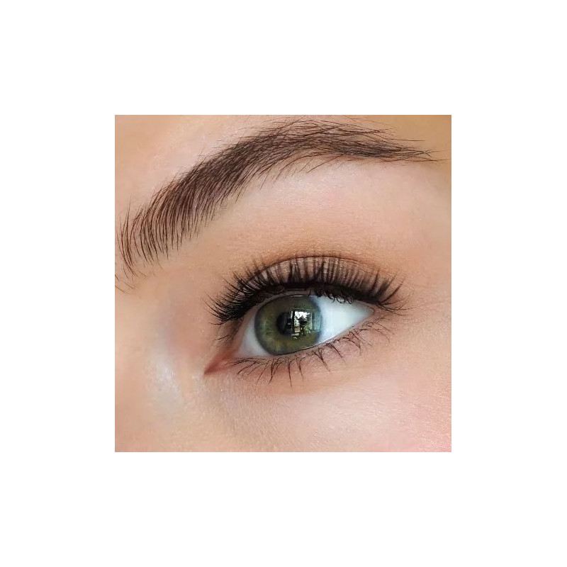 Iconic magnetic false eyelashes - False eyelashes