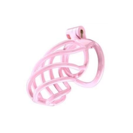 Cage de chasteté Tortille L 9.5 x 3.4 cm Rose - Cages de chasteté pour travestis