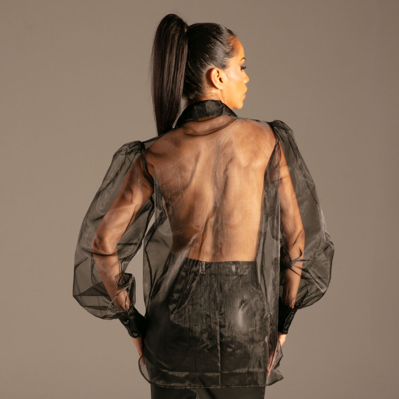 Organza Jabot Blouse - Tops