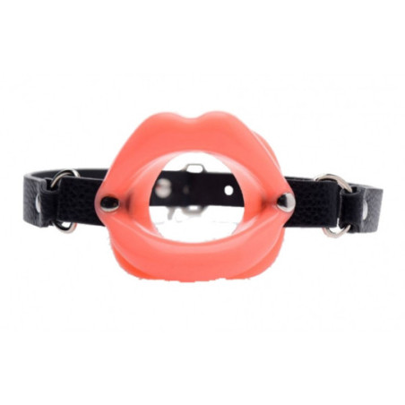 Baillon sissy mouth - Ball gags for cross-dressers