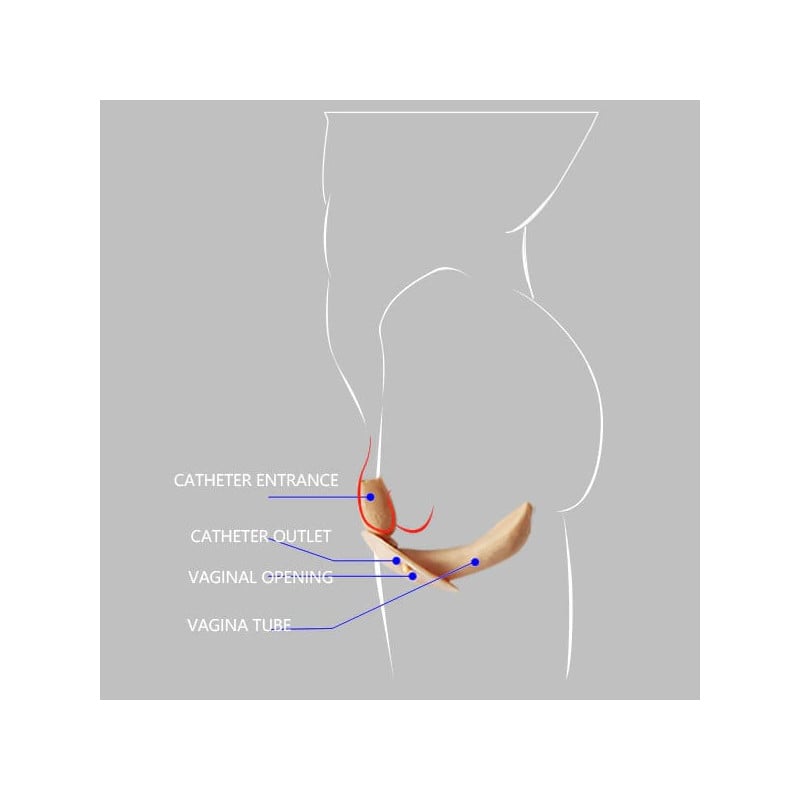 Prothèse vagin en silicone sans poils - Vagins réalistes
