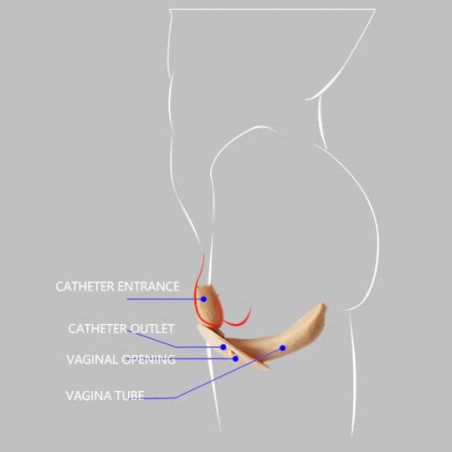 Hairless silicone vagina prosthesis - Fake Vagina