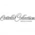 Cottelli Collection